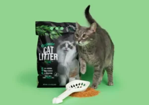 cat standing beside organic cat litter with scoop