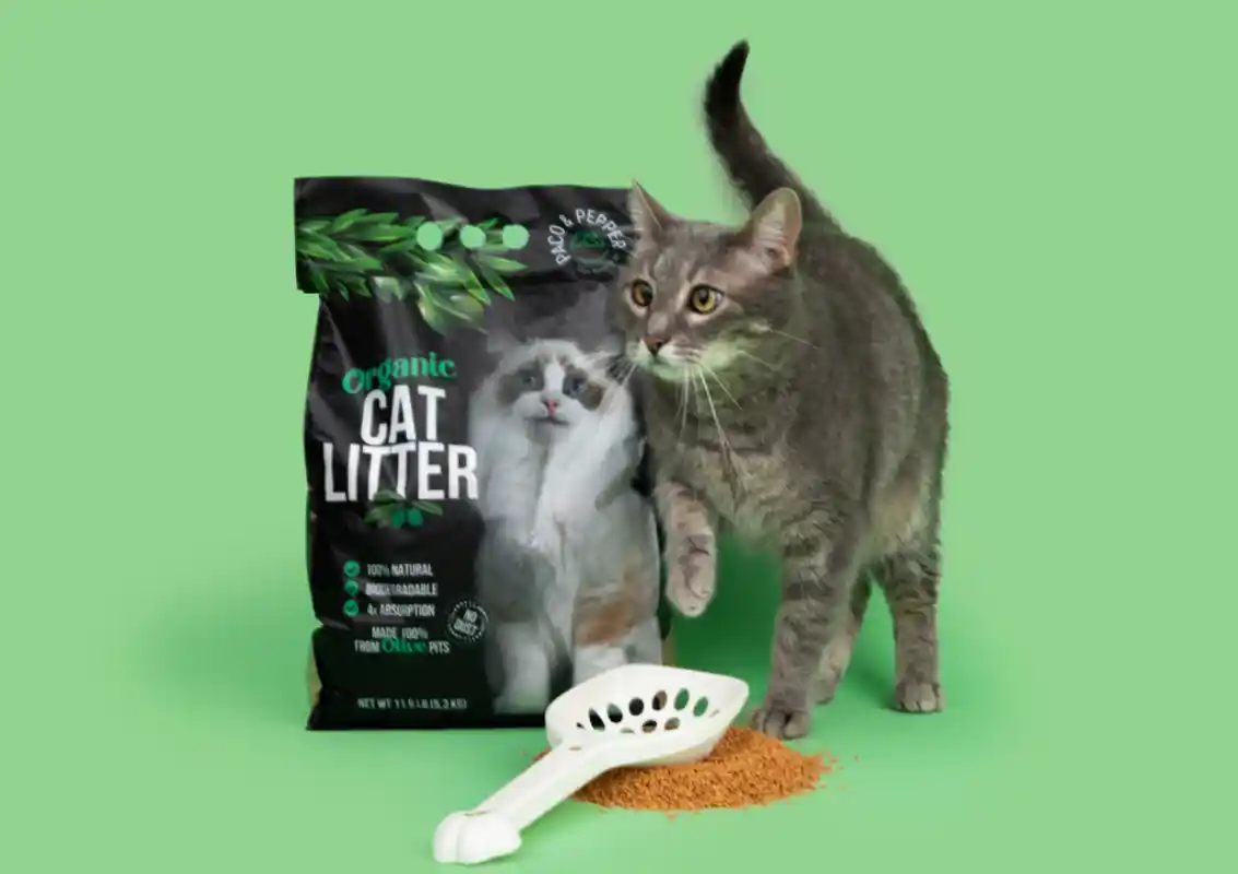 cat standing beside organic cat litter with scoop